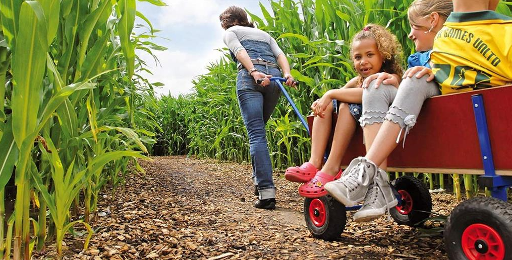 Child playing with BERG Beach Wagon outdoors